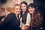 Pink Bunny 04.04.26